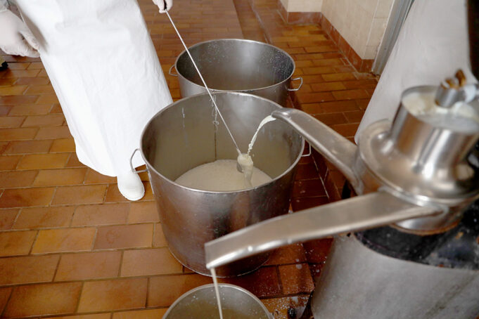 7 πράγματα πού πρέπει οπωσδήποτε να ξέρω για την τυποποίηση του γάλακτος πρωτοσέλιδο - 7 πράγματα πού πρέπει οπωσδήποτε να ξέρω για την τυποποίηση του γάλακτος