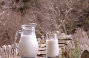 Βιοδραστικά συστατικά του γάλακτος – Ένα απλό υπερ-όπλο απέναντι στους ιούς! πρωτοσέλιδο - Βιοδραστικά συστατικά του γάλακτος - Ένα απλό υπερ-όπλο απέναντι στους ιούς!