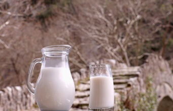 Βιοδραστικά συστατικά του γάλακτος – Ένα απλό υπερ-όπλο απέναντι στους ιούς! πρωτοσέλιδο - Βιοδραστικά συστατικά του γάλακτος - Ένα απλό υπερ-όπλο απέναντι στους ιούς!