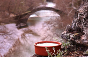 Προβιοτικά – Εισαγωγή στην μακροζωΐα πρωτοσέλιδο - Προβιοτικά – Εισαγωγή στην μακροζωία