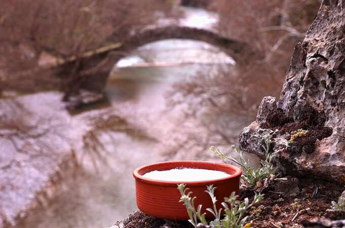 Προβιοτικά – Εισαγωγή στην μακροζωΐα πρωτοσέλιδο - Προβιοτικά – Εισαγωγή στην μακροζωία