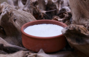 Γιαούρτι – Δύο αρχαίοι πιστοί φίλοι του ανθρώπου πρωτοσέλιδο - Γιαούρτι - Δύο αρχαίοι πιστοί φίλοι του ανθρώπου