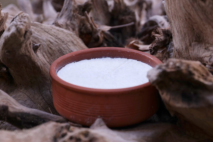 Γιαούρτι – Δύο αρχαίοι πιστοί φίλοι του ανθρώπου πρωτοσέλιδο - Γιαούρτι - Δύο αρχαίοι πιστοί φίλοι του ανθρώπου