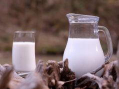 Ποιές είναι οι Μ Ο Ν Α Δ Ι Κ Ε Σ πρωτεΐνες του γάλακτος? πρωτοσέλιδο - Ποιές είναι οι Μ Ο Ν Α Δ Ι Κ Ε Σ πρωτεΐνες γάλακτος?