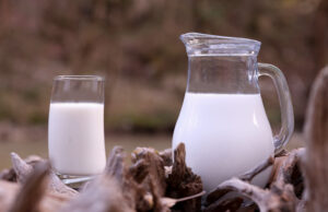 Ποιές είναι οι Μ Ο Ν Α Δ Ι Κ Ε Σ πρωτεΐνες του γάλακτος? πρωτοσέλιδο - Ποιές είναι οι Μ Ο Ν Α Δ Ι Κ Ε Σ πρωτεΐνες γάλακτος?