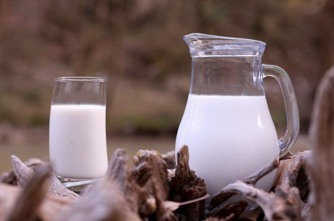 Ποιές είναι οι Μ Ο Ν Α Δ Ι Κ Ε Σ πρωτεΐνες του γάλακτος? πρωτοσέλιδο - Ποιές είναι οι Μ Ο Ν Α Δ Ι Κ Ε Σ πρωτεΐνες γάλακτος?