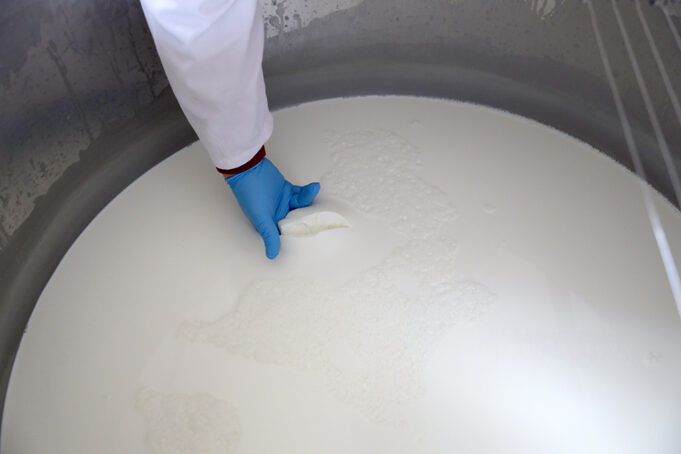 Αφύσικος χρόνος πήξης μέσα στο καλοκαίρι? Μα,…η αιτία είναι τα ψυχρότροφα βακτήρια! πρωτοσέλιδο - Αφύσικος χρόνος πήξης μέσα στο καλοκαίρι? Μα,…η αιτία είναι τα ψυχρότροφα βακτήρια!