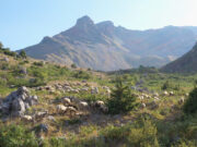 Τυρί έχω, …γάλα που θα βρώ? πρωτοσέλιδο - Τυρί έχω, …γάλα που θα βρώ?