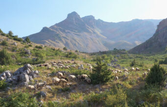 Τυρί έχω, …γάλα που θα βρώ? πρωτοσέλιδο - Τυρί έχω, …γάλα που θα βρώ?