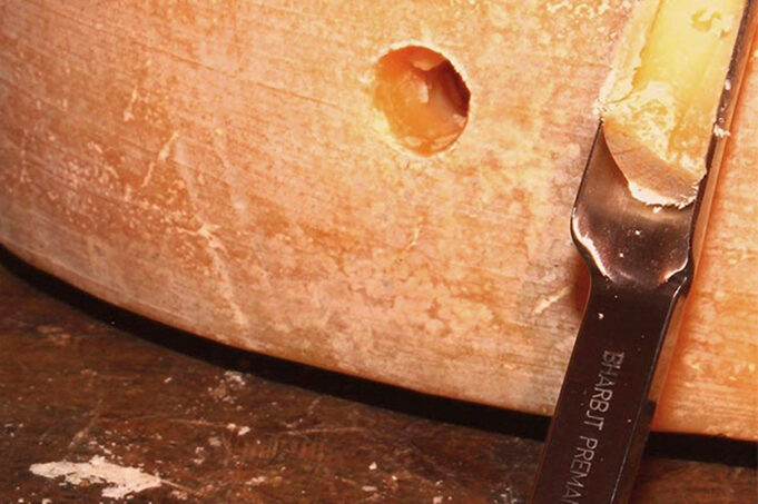 Tυροκλέφτης στην τυροκόμηση – Όταν ο κλέφτης είναι χρήσιμος! πρωτοσέλιδο, Tυροκλέφτης στην τυροκόμηση - Όταν ο κλέφτης είναι χρήσιμος!