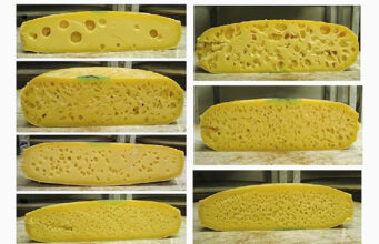 The Lord of the Cheeses πρωτοσέλιδο - The Lord of the Cheeses