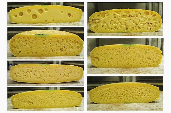 The Lord of the Cheeses πρωτοσέλιδο - The Lord of the Cheeses