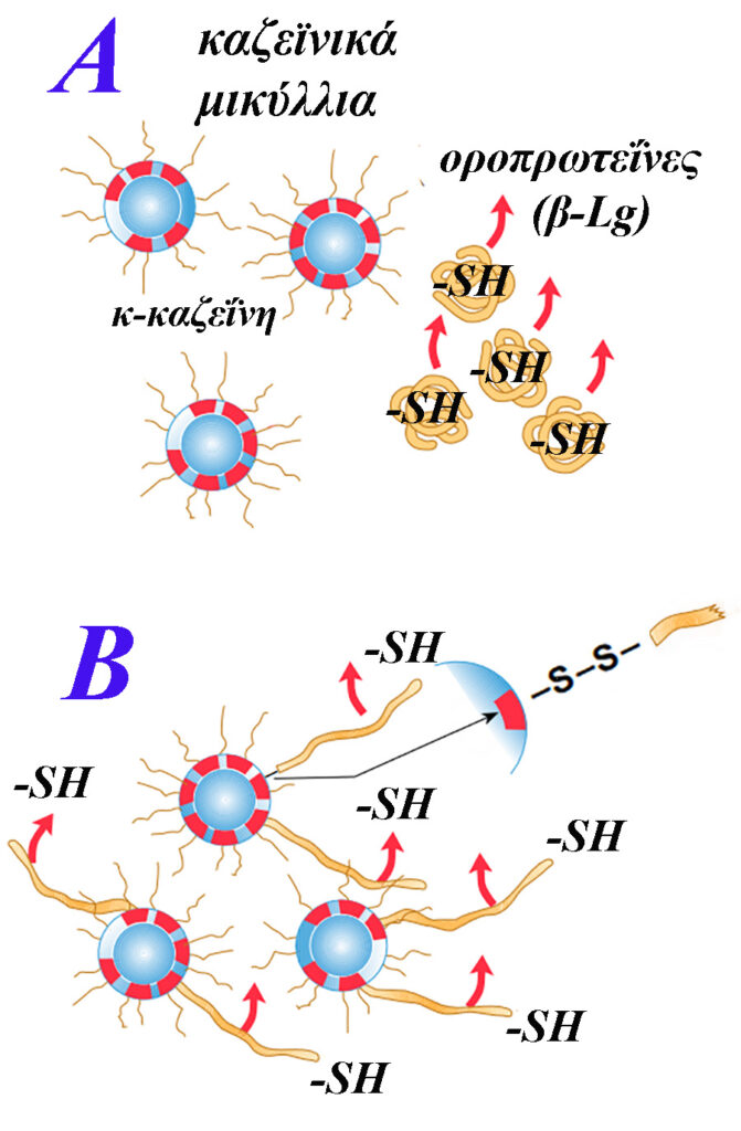 Τυρί Μυζήθρα, όταν... το φτωχό τυρί γίνεται ένα τυρί delicatessen