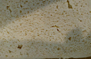 Όταν οι οπές είναι πρόβλημα! Πρώιμο φούσκωμα σε τυριά άλμης πρωτοσέλιδο - Όταν οι οπές είναι πρόβλημα! Πρώιμο φούσκωμα σε τυριά άλμης