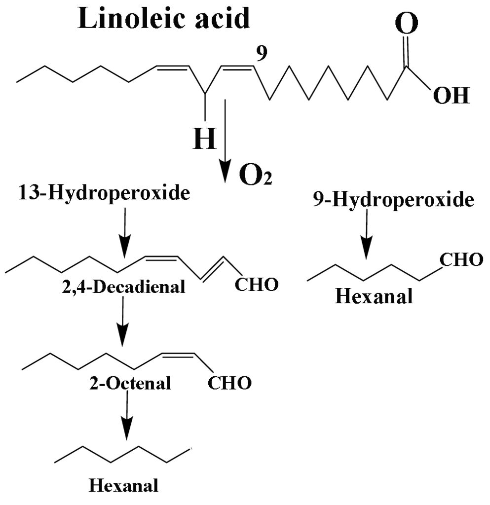 Γάλα + Φως = Δυσάρεστο flavor + Μείωση θρεπτικής αξίας