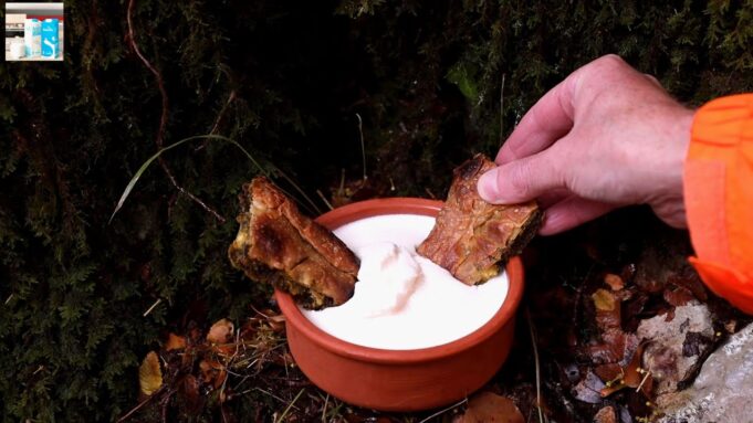 Γιαούρτι, σπιτική χωριάτικη πίτα και φυσική άσκηση – Να η συνταγή για ευεξία και μακροβιότητα! πρωτοσέλιδο - Γιαούρτι, σπιτική χωριάτικη πίτα και φυσική άσκηση – Να η συνταγή για ευεξία και μακροβιότητα!