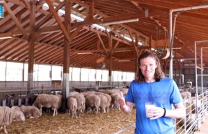 Τί πρέπει οπωσδήποτε να γνωρίζετε για την παστερίωση του γάλακτος πρωτοσέλιδο - Τί πρέπει οπωσδήποτε να γνωρίζετε για την παστερίωση του γάλακτος