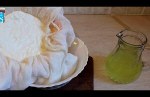 Φτιάχνω το τέλειο σπιτικό στραγγιστό γιαούρτι – Δείτε πώς! πρωτοσέλιδο - Φτιάχνω το τέλειο σπιτικό στραγγιστό γιαούρτι – Δείτε πώς!