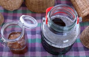 Φτιάχνω τσάι Κομπούτσα – Κομπούχα χρησιμοποιώντας ένα ήδη παρασκευασμένο τσάι πρωτοσέλιδο - Φτιάχνω τσάι Κομπούτσα – Κομπούχα χρησιμοποιώντας ένα ήδη παρασκευασμένο τσάι