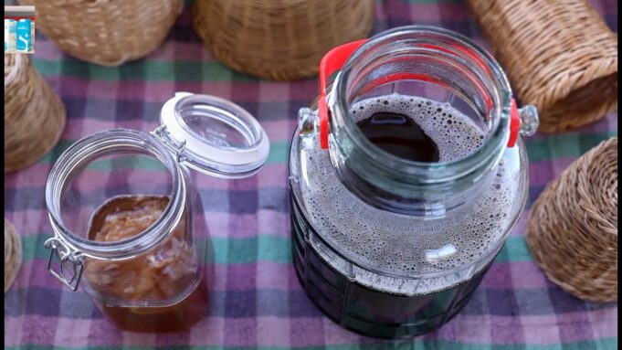 Φτιάχνω τσάι Κομπούτσα – Κομπούχα χρησιμοποιώντας ένα ήδη παρασκευασμένο τσάι πρωτοσέλιδο - Φτιάχνω τσάι Κομπούτσα – Κομπούχα χρησιμοποιώντας ένα ήδη παρασκευασμένο τσάι