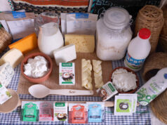 Μικροοργανισμοί Εκκινητές στα γαλακτοκομικά προϊόντα = Πρωτογενείς εκκινητές + Δευτερογενείς εκκινητές πρωτοσέλιδο - Μικροοργανισμοί εκκινητές και μικροοργανισμοί μη εκκινητές στα γαλακτοκομικά προϊόντα