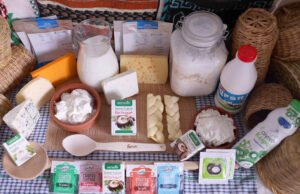 Μικροοργανισμοί εκκινητές και μικροοργανισμοί μη εκκινητές στα γαλακτοκομικά προϊόντα πρωτοσέλιδο - Μικροοργανισμοί εκκινητές και μικροοργανισμοί μη εκκινητές στα γαλακτοκομικά προϊόντα