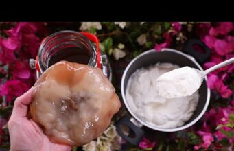 Φτιάχνω γιαούρτι με σκόμπι (scoby) κομπoύτσα – κομπούχα (kombucha) πρωτοσέλιδο - Φτιάχνω γιαούρτι με σκόμπι (scoby) κομπoύτσα – κομπούχα (kombucha)