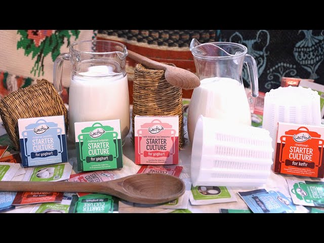 Αγορά Οικιακή Καλλιέργεια Τυροκόμησης DVS – Τί θα πρέπει οπωσδήποτε να ξέρω ? πρωτοσέλιδο - Αγορά Οικιακή Καλλιέργεια Τυροκόμησης DVS – Τί θα πρέπει οπωσδήποτε να ξέρω ?