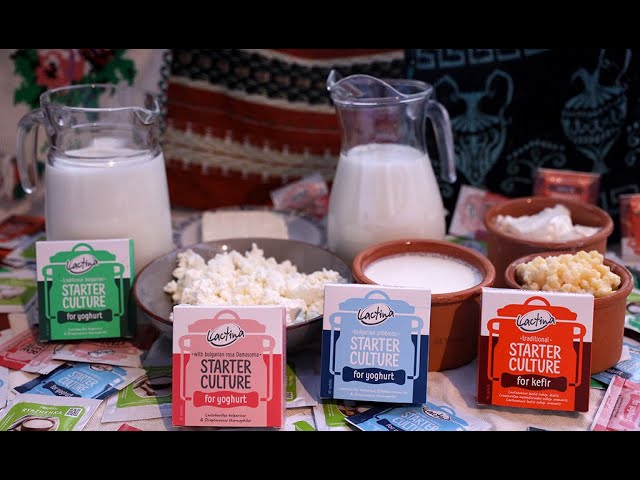 Φτιάχνω τα δικά μου γαλακτοκομικά προϊόντα χρησιμοποιώντας Οικιακή Καλλιέργεια Τυροκομίας DVS πρωτοσέλιδο - Φτιάχνω τα δικά μου γαλακτοκομικά χρησιμοποιώντας Οικιακή Καλλιέργεια Τυροκομίας DVS