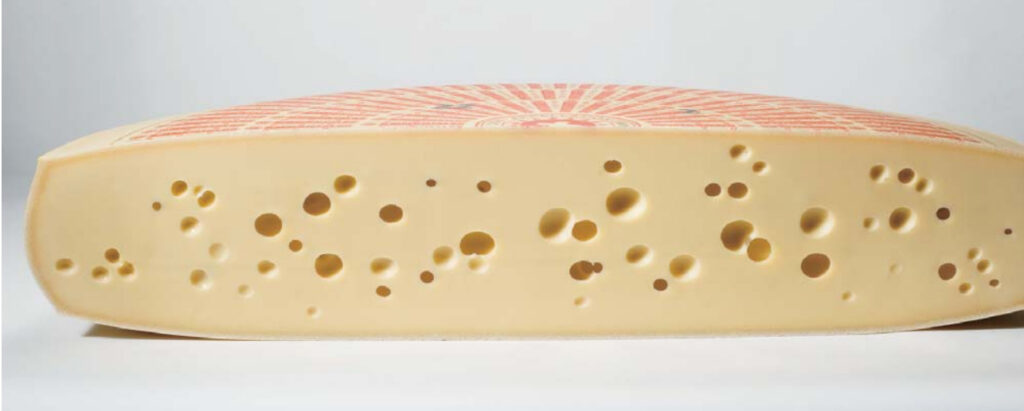 Το Ελβετικό τυρί και το τυρί Ελβετικού τύπου