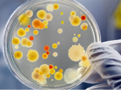 Ονοματολογία των μικροοργανισμών? Μα είναι τόσο εύκολο! πρωτοσέλιδο - Ονοματολογία των μικροοργανισμών? Μα είναι τόσο εύκολο!