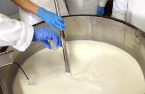 12 πράγματα που πρέπει οπωσδήποτε να γνωρίζετε πριν προσθέσετε χλωριούχο ασβέστιο στο γάλα τυροκόμησης πρωτοσέλιδο - 12 πράγματα πού πρέπει οπωσδήποτε να γνωρίζετε πριν προσθέσετε χλωριούχο ασβέστιο στο γάλα τυροκόμησης