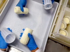 Φτιάχνω τυρί Φορμαέλα Παρνασσού πρωτοσέλιδο - τυρί Φορμαέλα Παρνασσού με... λίγα λόγια