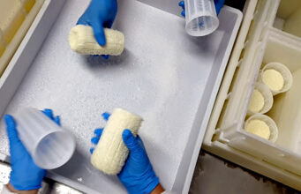 Φτιάχνω τυρί Φορμαέλα Παρνασσού πρωτοσέλιδο - τυρί Φορμαέλα Παρνασσού με... λίγα λόγια