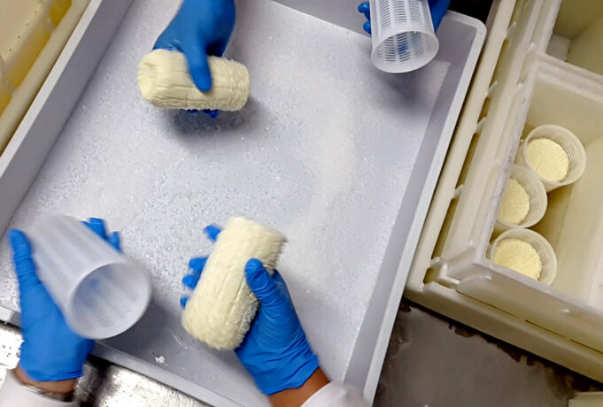 Φτιάχνω τυρί Φορμαέλα Παρνασσού πρωτοσέλιδο - τυρί Φορμαέλα Παρνασσού με... λίγα λόγια