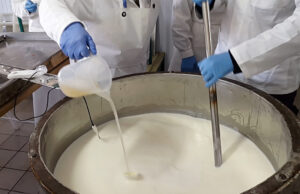 Όλα όσα θα θέλατε να ξέρετε για την πυτιά μικροβιακής προέλευσης πρωτοσέλιδο - Όλα όσα θα θέλατε να ξέρετε για την πυτιά μικροβιακής προέλευσης