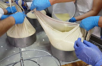 Το τυρί Γραβιέρα, το τυρί Κεφαλογραβιέρα και το τυρί Κεφαλοτύρι ΠΡΩΤΟΣΕΛΙΔΟ - Το τυρί Γραβιέρα, το τυρί Κεφαλογραβιέρα και το τυρί Κεφαλοτύρι