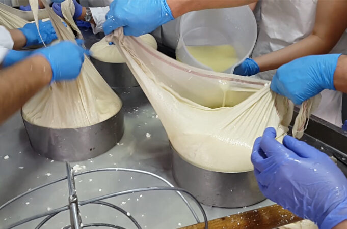 Το τυρί Γραβιέρα, το τυρί Κεφαλογραβιέρα και το τυρί Κεφαλοτύρι ΠΡΩΤΟΣΕΛΙΔΟ - Το τυρί Γραβιέρα, το τυρί Κεφαλογραβιέρα και το τυρί Κεφαλοτύρι