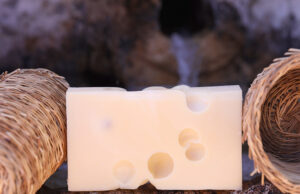 Προπιονική Ζύμωση – Η 3η ζύμωση η οποία μάς ενδιαφέρει πρωτοσέλιδο - Προπιονική Ζύμωση - Η 3η ζύμωση η οποία μάς ενδιαφέρει