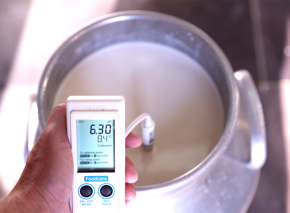 Φτιάχνω τυρί Κασέρι