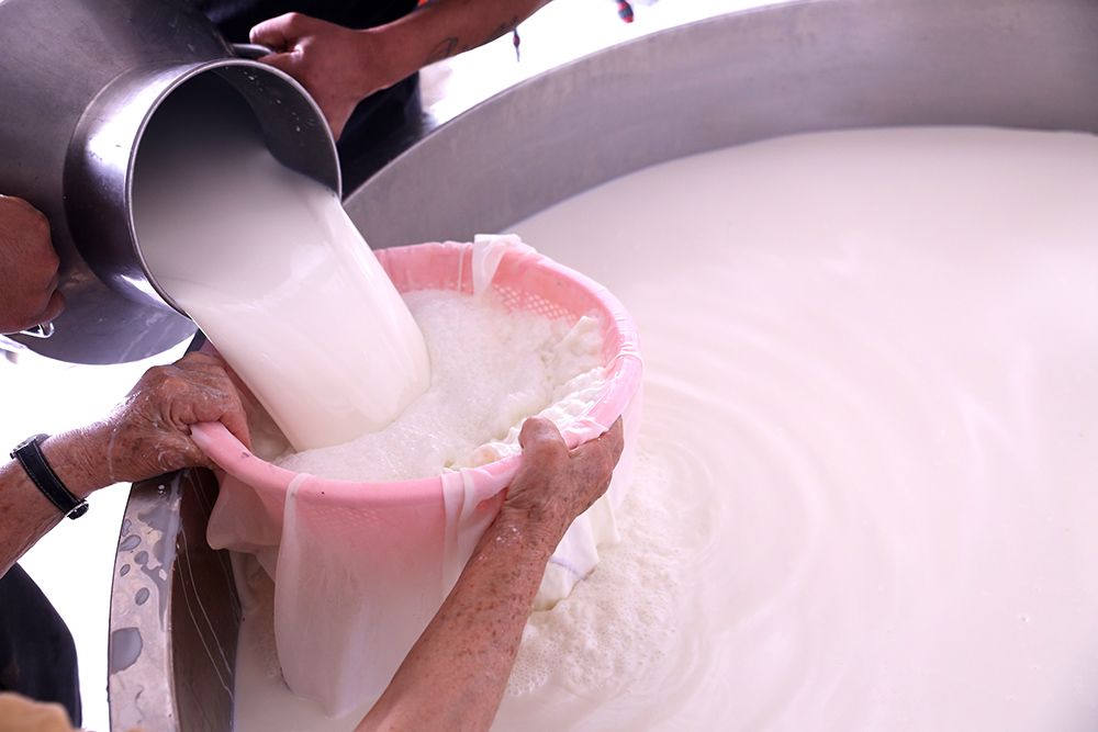 Φτιάχνω τυρί Κασέρι