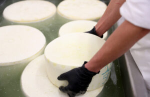 Τί είναι η άλμη? Πώς φτιάχνω την άλμη πού θέλω? πρωτοσέλιδο - Τί είναι η άλμη? Πώς φτιάχνω την άλμη πού θέλω?