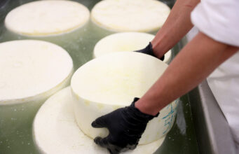 Τί είναι η άλμη? Πώς φτιάχνω την άλμη πού θέλω? πρωτοσέλιδο - Τί είναι η άλμη? Πώς φτιάχνω την άλμη πού θέλω?