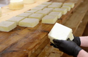 Φτιάχνω τυρί Μπάτζος πρωτοσέλιδο - Φτιάχνω τυρί Μπάτζος