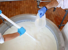 Ποιά είναι η πυτιά και ποιά είναι τα υποκατάστατα της πυτιάς? πρωτοσέλιδο - Ποιά είναι η πυτιά και ποιά είναι τα υποκατάστατα της πυτιάς?