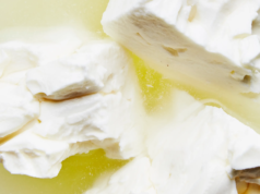 Λάσπισμα των τυριών άλμης Από τί προκαλείται? Πώς το αντιμετωπίζω? πρωτοσέλιδο - Λάσπισμα των τυριών άλμης Από τι προκαλείται? Πώς το αντιμετωπίζω?