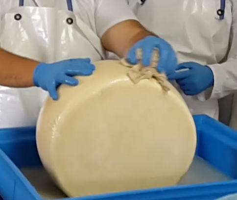 Φτιάχνω τυρί Κεφαλογραβιέρα