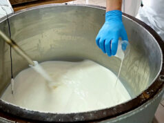 Οξυγαλακτικά Βακτήρια του Γένος Lactococcus στην γαλακτοκομία – Πού θα τα χρησιμοποιήσω? πρωτοσέλιδο - Γένος Lactococcus στην γαλακτοκομία - Πού θα το χρησιμοποιήσω?