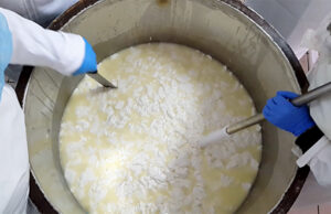 5 + 2 πράγματα πού πρέπει οπωσδήποτε να γνωρίζω όταν φτιάχνω μαλακό κατσικίσιο τυρί άλμης πρωτοσέλιδο - 5 + 2 πράγματα πού πρέπει οπωσδήποτε να γνωρίζω όταν φτιάχνω μαλακό κατσικίσιο τυρί άλμης