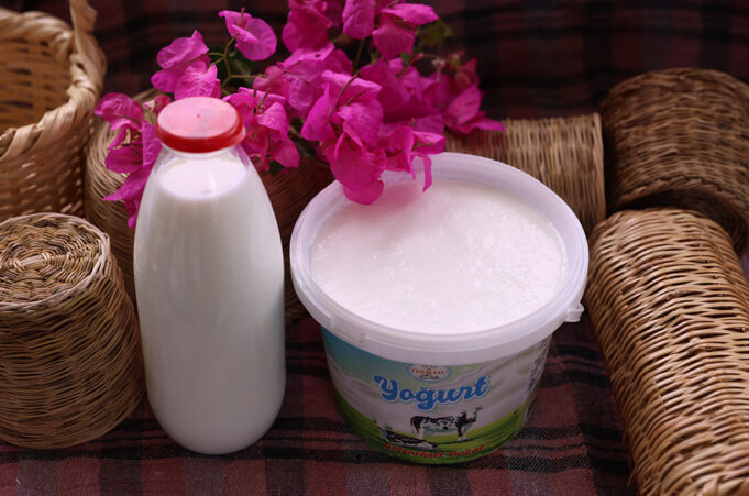 Γιαούρτι και Δυσανεξία στην Λακτόζη πρωτοσέλιδο - Γιαούρτι και Δυσανεξία στην Λακτόζη